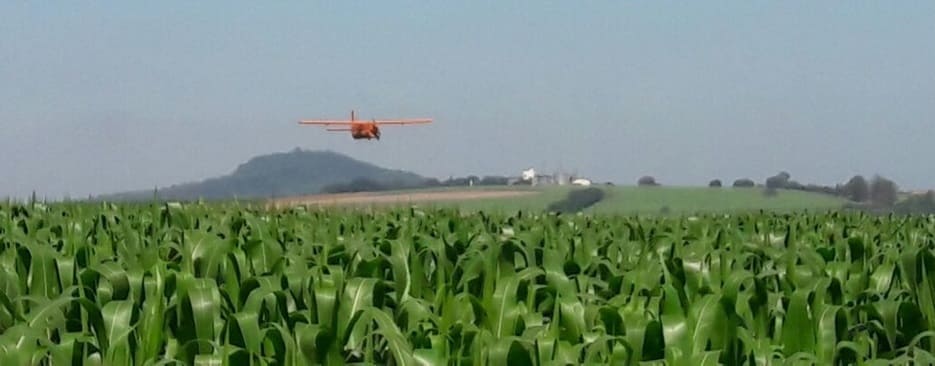 Agriculture