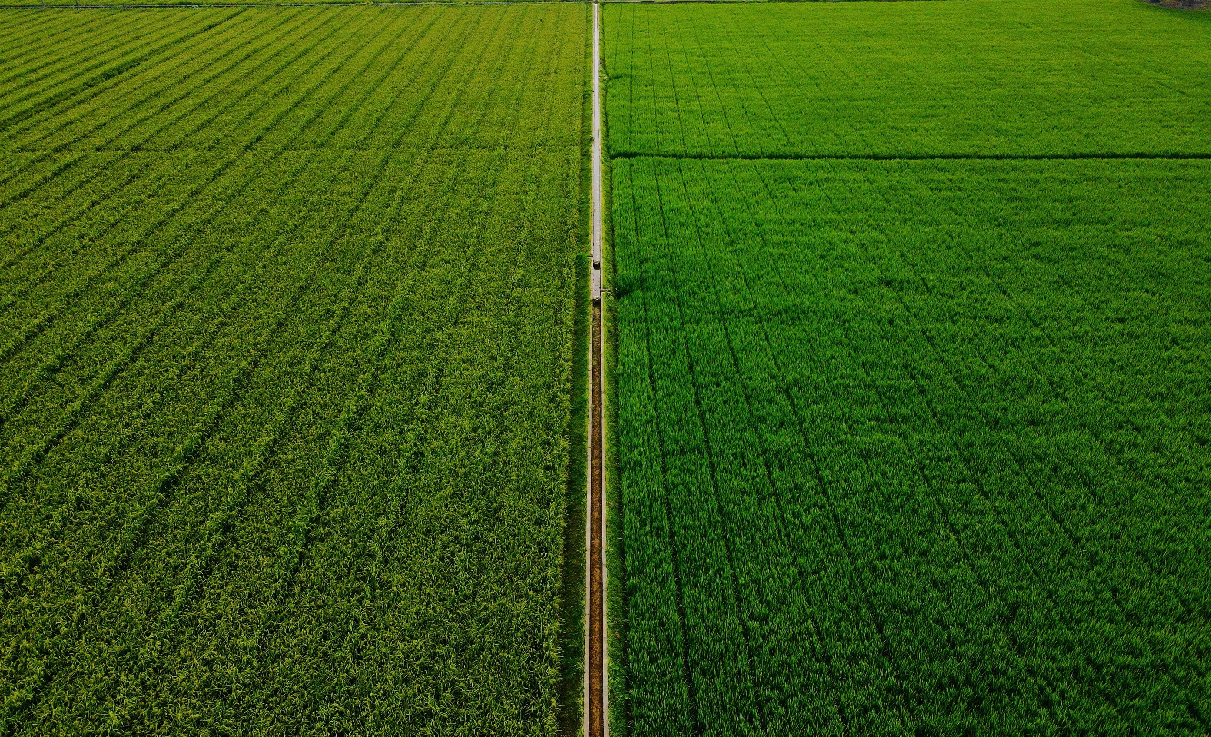 Sistema Agrícola